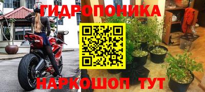 Альфа ПВП Будённовск