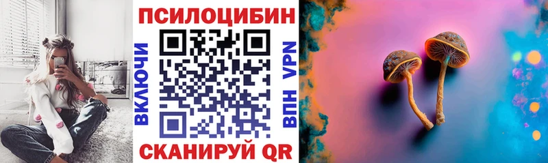 Галлюциногенные грибы GOLDEN TEACHER  наркота  Избербаш 