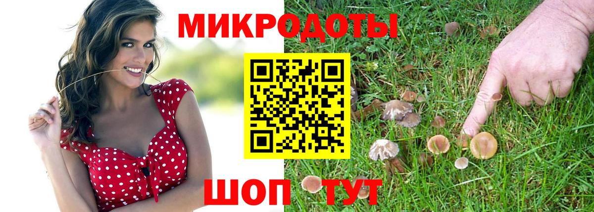 Псилоцибиновые грибы мицелий  Избербаш  Галлюциногенные грибы ЛСД 