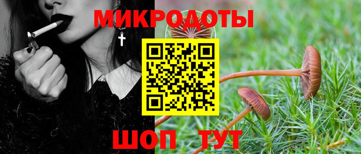Псилоцибиновые грибы прущие грибы Избербаш
