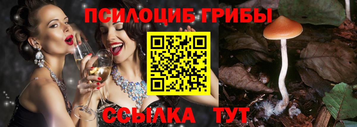 Избербаш  Псилоцибиновые грибы Magic Shrooms  Псилоцибиновые грибы мицелий  Вход с VPN 